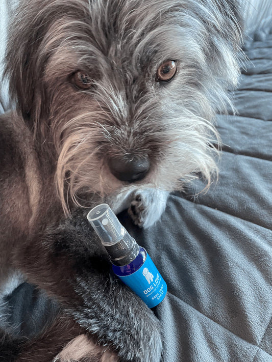 Hello from Dog Love Oils!