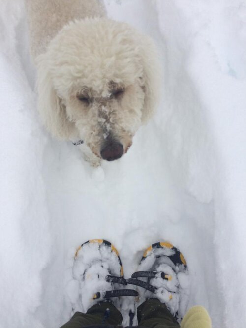 Sadie "Pooey"