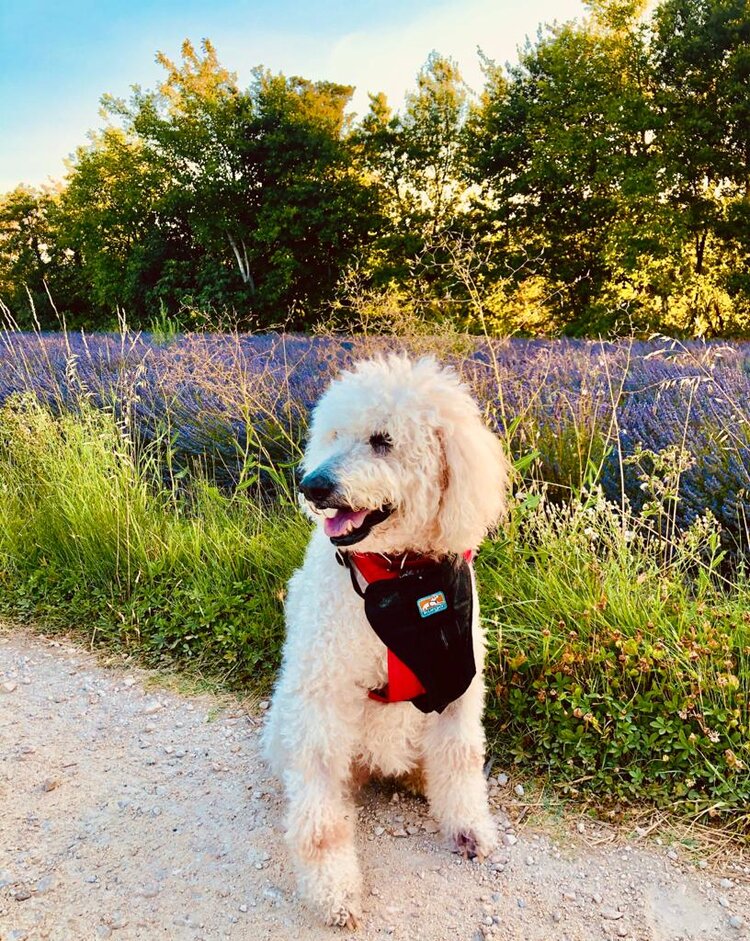 Sadie "Pooey"