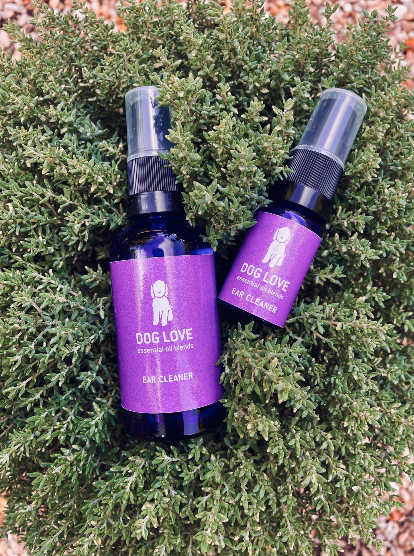 Ear Cleaner 50ml