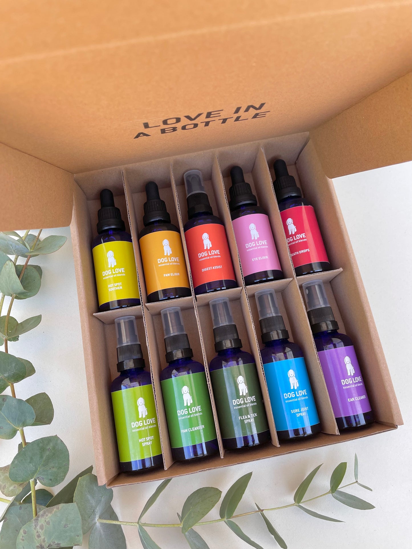 "Sadie's Set" 50ML (Set of 10)