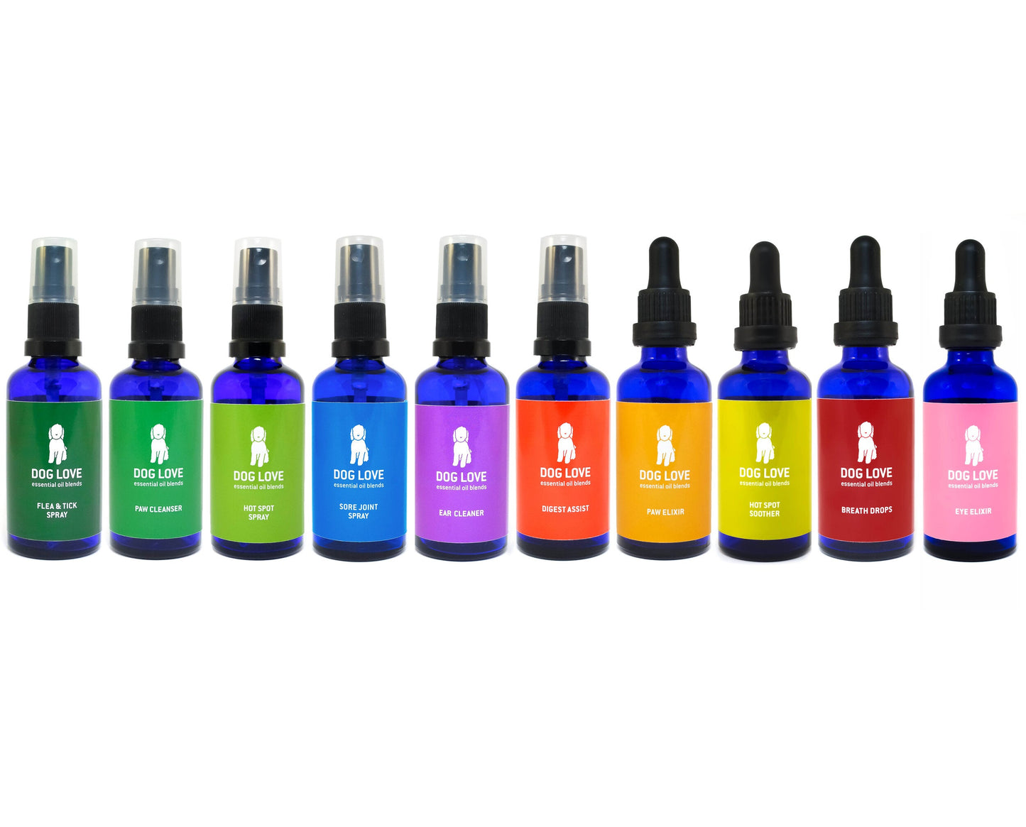 "Sadie's Set" 50ML (Set of 10)