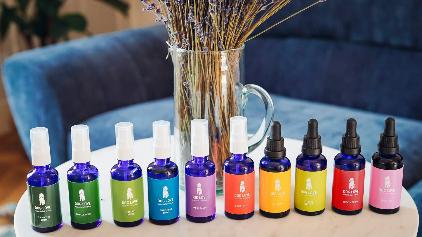 "Sadie's Set" 50ML (Set of 10)