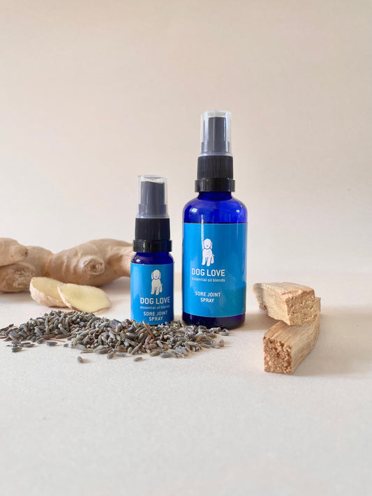 Sore Joint Spray 50ml